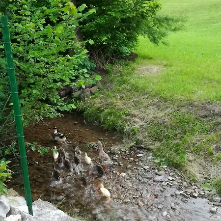 Apartma Metka Medvode